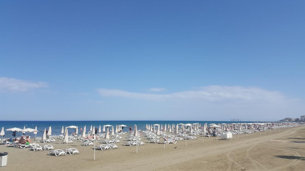 Alex Beach Apartment 51 لارنكا المظهر الخارجي الصورة
