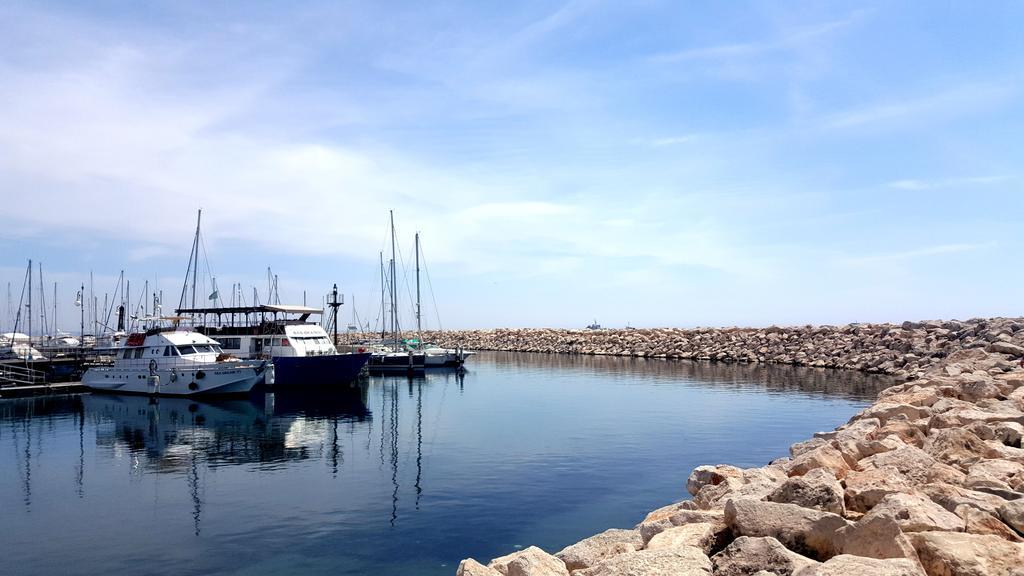 Alex Beach Apartment 51 لارنكا المظهر الخارجي الصورة